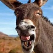 侯永奇的个人资料头像