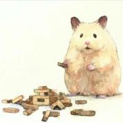 Liuying的个人资料头像