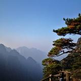 用户2126001371226头像