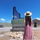 Shixinnn的个人资料头像