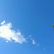 小刚351的个人资料头像