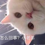 。。。头像