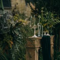 劲劲劲劲松头像