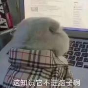 摸鱼小前端Emily的个人资料头像