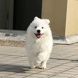 Oy455头像