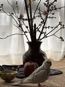 Jasmine629的个人资料头像