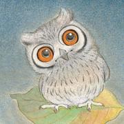 阿米尔京的个人资料头像