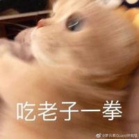 吉吉向上1022头像