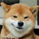 echo本尊47218的个人资料头像