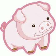 小章要努力的个人资料头像