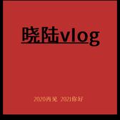 晓陆Vlog头像