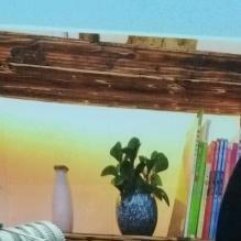 鑫言影视头像