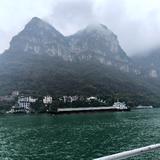 高冷苦茶籽头像