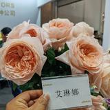 用户672104393079头像