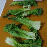 特种兵老张头像