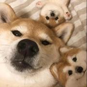 ToEchoDemenos的个人资料头像