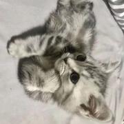 乐云一的个人资料头像