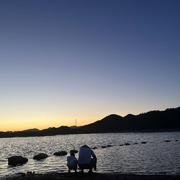 yangzg的个人资料头像