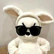 猫上树的个人资料头像