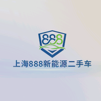 雷子新能源二手车头像