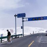 abidas头像