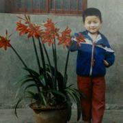 尛尛娃的个人资料头像