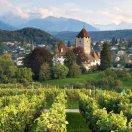 ll爱学习90630的个人资料头像