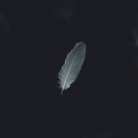 Aexl黯然头像