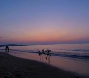 FightingBoyJH的个人资料头像