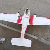 简单宇宙LlD头像