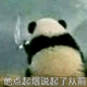用户9746831895262 · 逸动车主·车龄4年头像