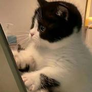 Afan291的个人资料头像