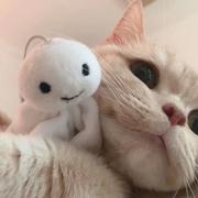 萨摩耶也的个人资料头像