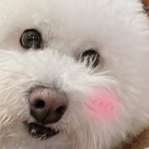 莫的表情的呆头像