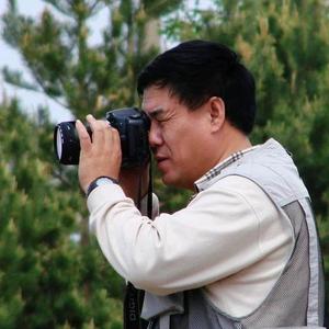 林中之王2M0d头像