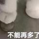 姜先生头像