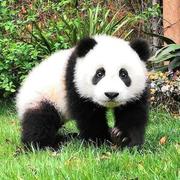 Myths的个人资料头像