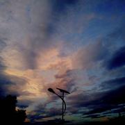 197的个人资料头像