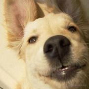 躺着输出的个人资料头像