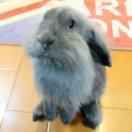 聪不想说话56692的个人资料头像