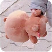 木偶人的个人资料头像