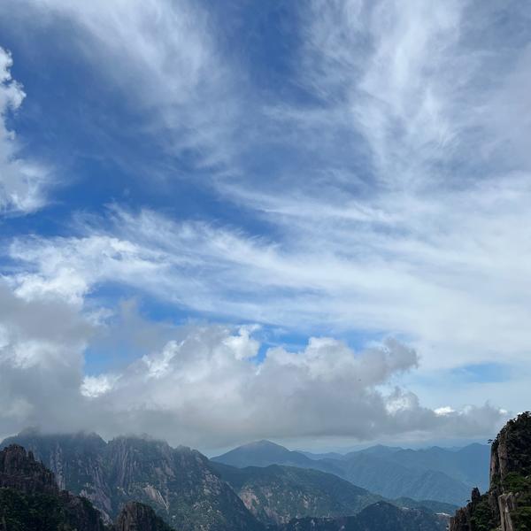 汽车巡察员头像