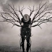 民谣吉他手的个人资料头像