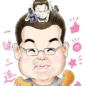 太阳探店Plus（许太阳炸鸡）头像