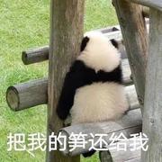 月初696的个人资料头像