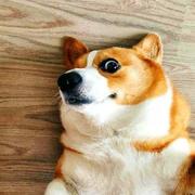 Lykisme的个人资料头像