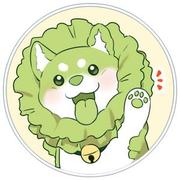 vxiaop的个人资料头像