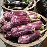 奔跑的茄子哥S头像