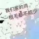 昨天我不代表今天你头像