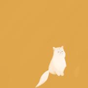 花瓣飘落下游生根的个人资料头像